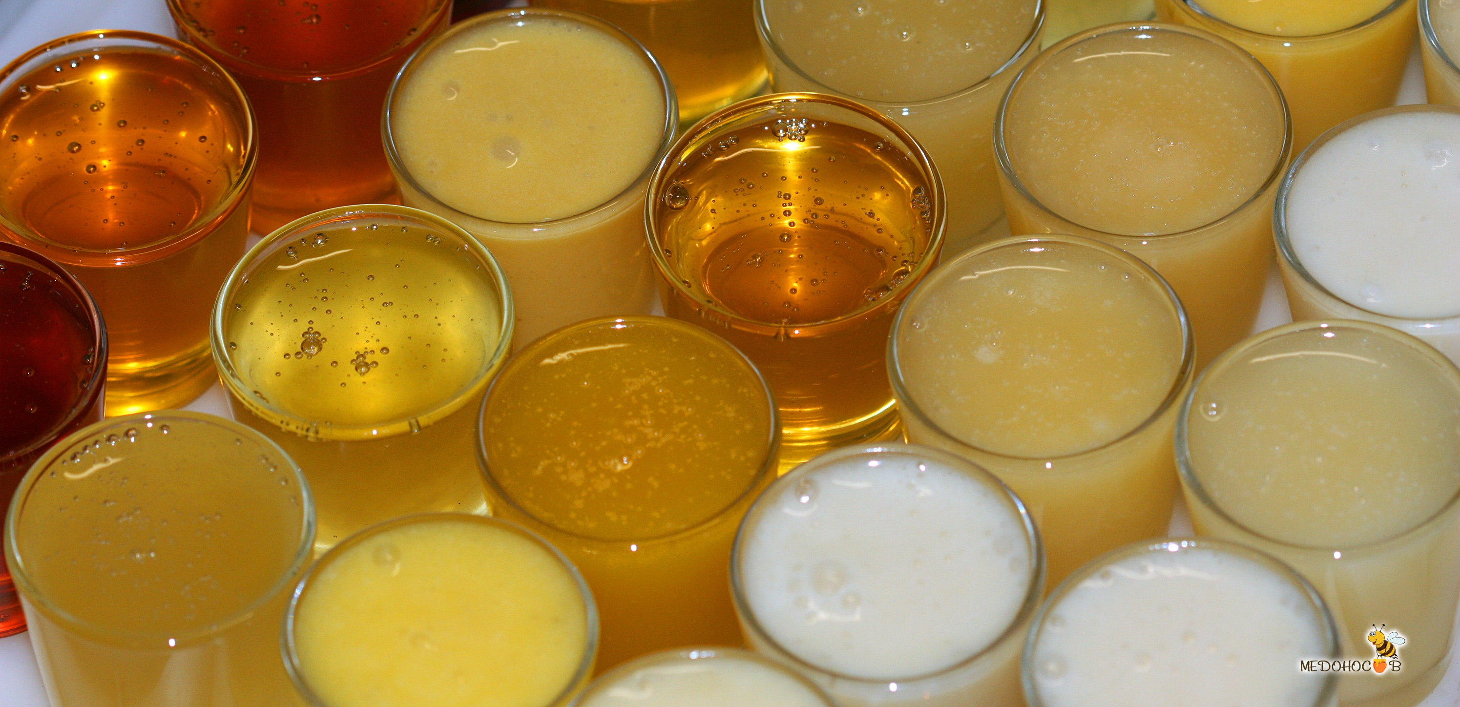 Купить мёд разных сортов